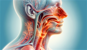 Illustration of the respiratory system